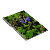 Carnet Baume d'abeille pourpre et bourdon (Côté Droit)