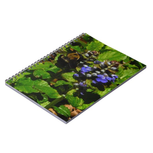 Carnet Baume d'abeille pourpre et bourdon (Côté gauche)