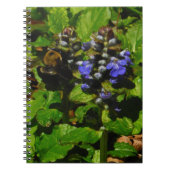 Carnet Baume d'abeille pourpre et bourdon (Devant)