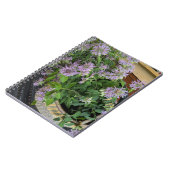 Carnet Baume de bee (Côté gauche)