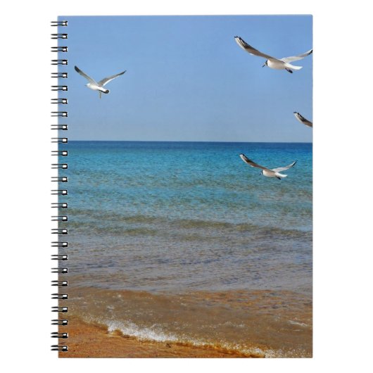 Carnet Beach and Seagulls (Devant)