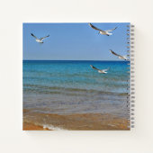 Carnet Beach and Seagulls (Dos)