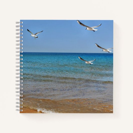 Carnet Beach and Seagulls (Devant)