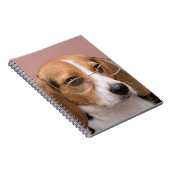 Carnet Beagle (Côté Droit)