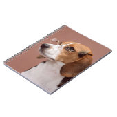 Carnet Beagle (Côté gauche)