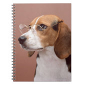 Carnet Beagle (Devant)