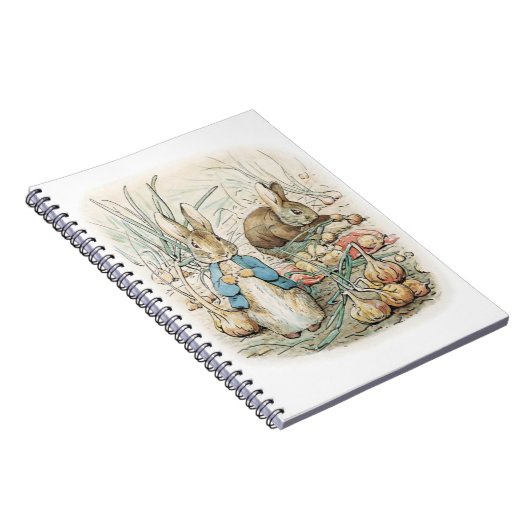 Carnet Beatrix Potter Peter Rabbit And Benjamin Bunny (Côté Droit)