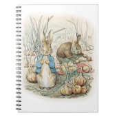 Carnet Beatrix Potter Peter Rabbit And Benjamin Bunny (Devant)