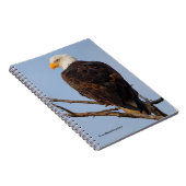 Carnet Beau aigle à tête blanche dans un arbre (Côté Droit)