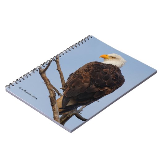 Carnet Beau aigle à tête blanche dans un arbre (Côté gauche)