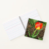 Carnet Beau au printemps.... (Intérieur)