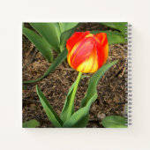 Carnet Beau au printemps.... (Dos)