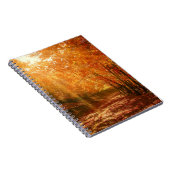 Carnet Beau automne (Côté Droit)