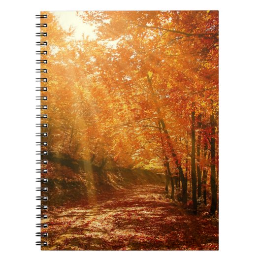 Carnet Beau automne (Devant)