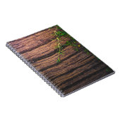 Carnet beau bois ancien (Côté Droit)