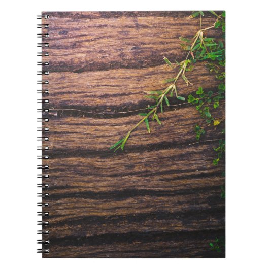 Carnet beau bois ancien (Devant)