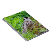 Carnet Beau Bruant à couronnes blanches dans l'herbe (Côté Droit)