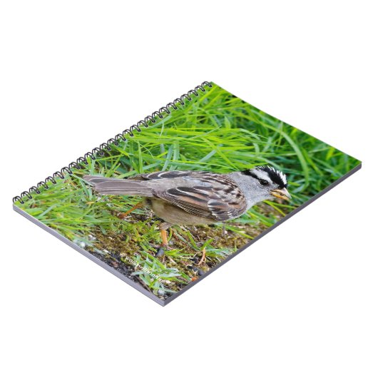 Carnet Beau Bruant à couronnes blanches dans l'herbe (Côté gauche)