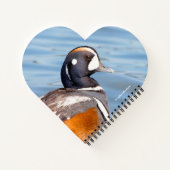 Carnet Beau canard arlequin sur le rocher (Dos)