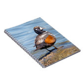 Carnet Beau canard arlequin sur le rocher (Côté Droit)