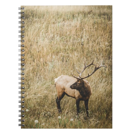 CARNET BEAU CERF D'ELK (Devant)