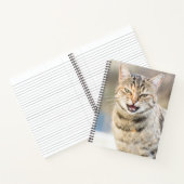 Carnet Beau chat (Intérieur)