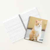 Carnet Beau chat rouge (Intérieur)