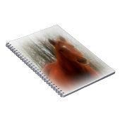 Carnet Beau Cheval (Côté Droit)