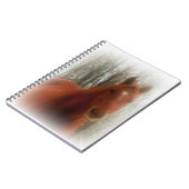 Carnet Beau Cheval (Côté gauche)
