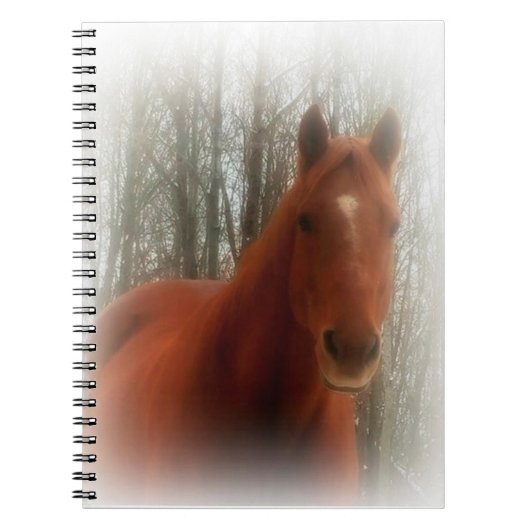 Carnet Beau Cheval (Devant)