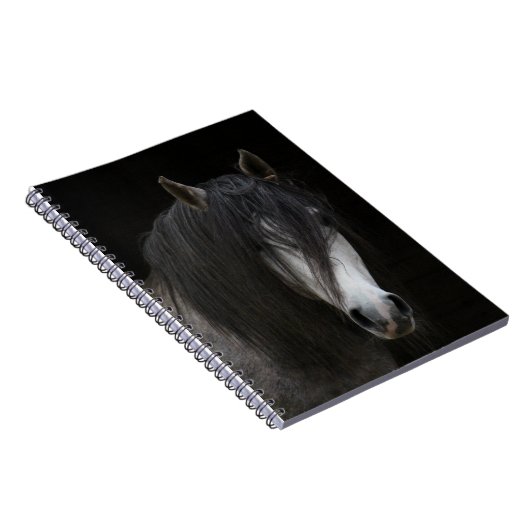 Carnet Beau Cheval (Côté Droit)