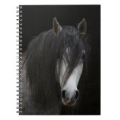 Carnet Beau Cheval (Devant)