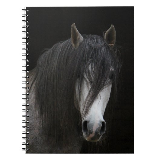Carnet Beau Cheval (Devant)