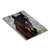 Carnet Beau cheval Brown (Côté Droit)