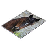 Carnet Beau cheval Brown (Côté gauche)