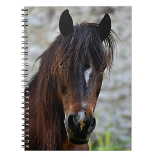 Carnet Beau cheval Brown