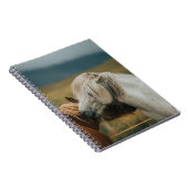 CARNET BEAU CHEVAL COUPLE (Côté Droit)