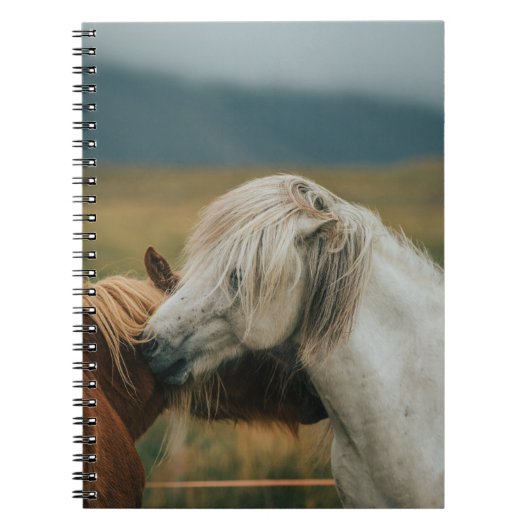 CARNET BEAU CHEVAL COUPLE (Devant)