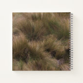 Carnet Beau cheval de couleur grise (Dos)