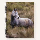 Carnet Beau cheval gris couleur (Devant)
