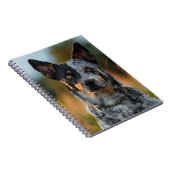 CARNET BEAU CHIEN AUSTRALIEN EN CHIEN DE CHIEN (Côté Droit)