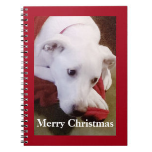 Carnet Beau Chien Noël Rouge Blanche Neigeux