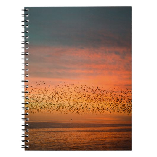 CARNET BEAU COUCHER DE SOLEIL AVEC OISEAUX (Devant)