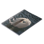 Carnet Beau cygne blanc (Côté gauche)