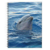 Carnet Beau dauphin (Devant)