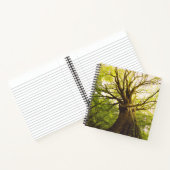 Carnet Beau Hêtre (Intérieur)