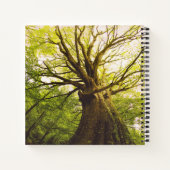 Carnet Beau Hêtre (Dos)