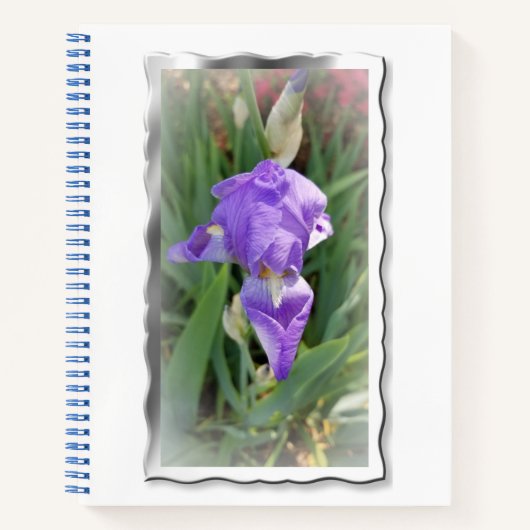 Carnet Beau Iris Bleu Clair (Devant)
