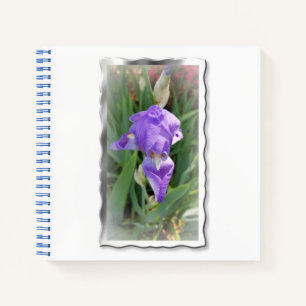 Carnet Beau Iris Bleu Clair