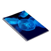 CARNET BEAU JELLYFISH (Côté Droit)